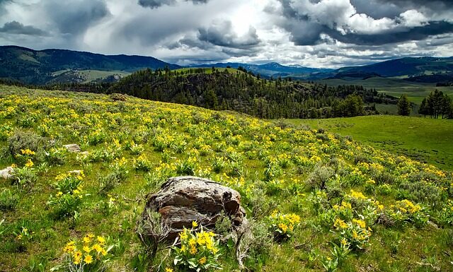 Czy warto używać balsamu?