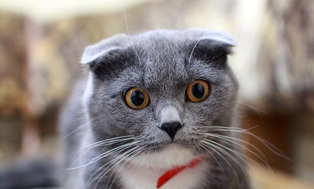 Jak poradzić sobie z obwisła skóra?