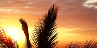 Jak wygląda stan zapalny warg sromowych?