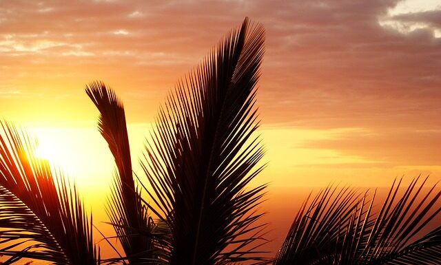 Jak wygląda stan zapalny warg sromowych?