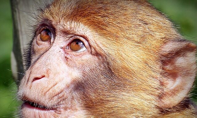 Jak wyglądać młodo w wieku 40 lat?