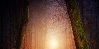 Jaki wybrać cień do powiek?