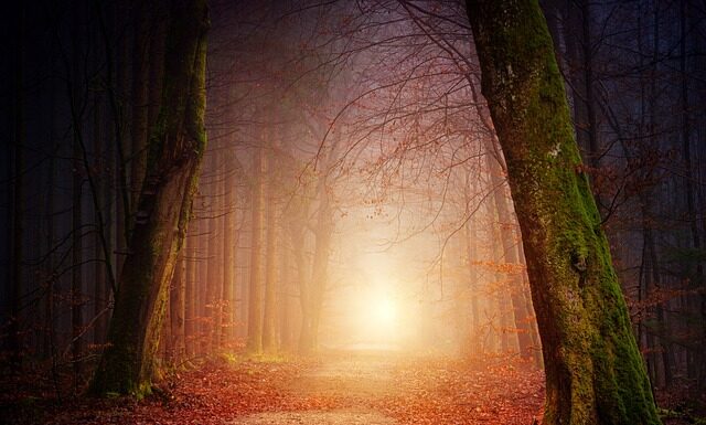 Jaki wybrać cień do powiek?