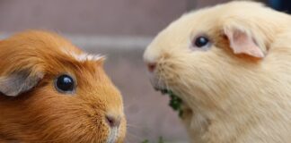 Co zrobić żeby dłonie były gładkie?