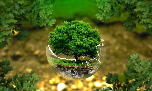 W jakim wieku włosy przestają rosnąć? W jakim wieku włosy przestają rosnąć?