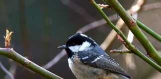 Co jest niedopuszczalne w salonie fryzjerskim?