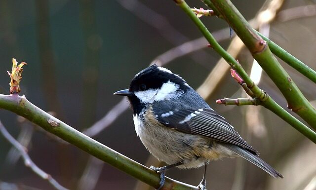 Co jest niedopuszczalne w salonie fryzjerskim? Co jest niedopuszczalne w salonie fryzjerskim?