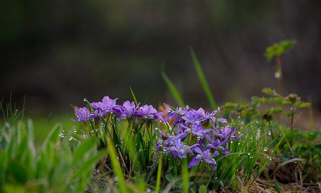 Kiedy zmieniają się rysy twarzy? Kiedy zmieniają się rysy twarzy?