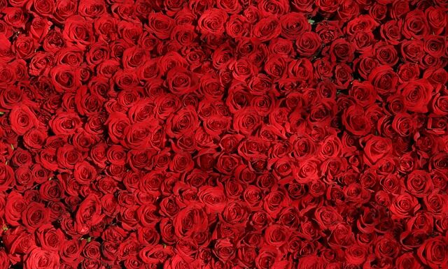 Komu pasuje róż na policzkach?