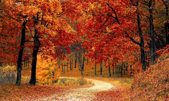 Czym są naturalne kosmetyki? Czym są naturalne kosmetyki?