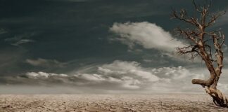 Czy w aptece można kupić suchy szampon?