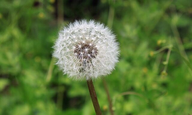 Czym smarować swędzące miejsca intymne?