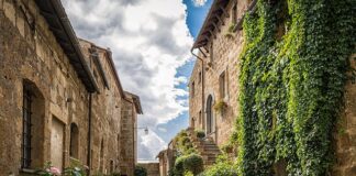 Jaka gradacja do brzytwy?