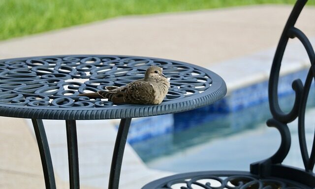 Czy na basenie trzeba mieć kąpielówki? Czy na basenie trzeba mieć kąpielówki?
