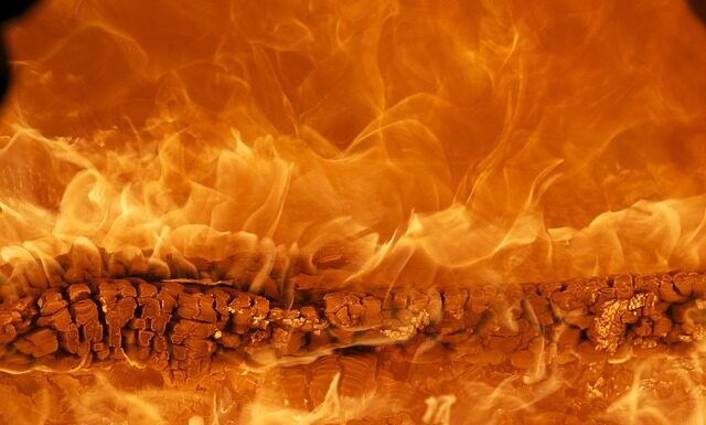 Czy marka Essence jest testowana na zwierzętach? Czy marka Essence jest testowana na zwierzętach?