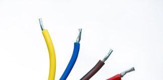 Co mężczyzn pociąga w kobietach?