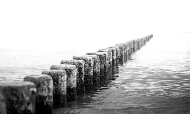 Co to znaczy DS na recepcie?