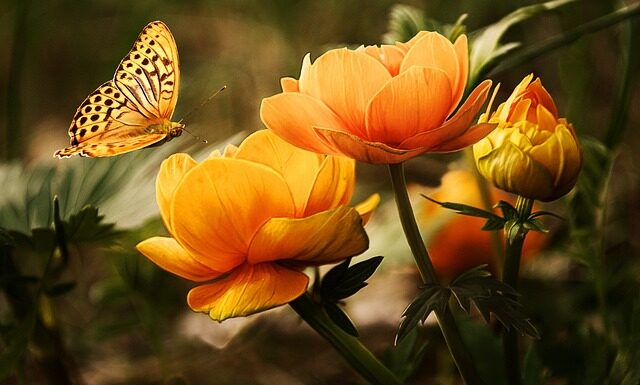 Czy pochwę myje się w środku? Czy pochwę myje się w środku?