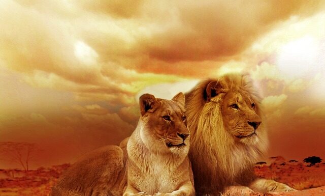 Czy duże usta są ładne?