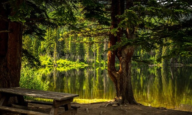 Jakie jest przeznaczenie brzytwy?