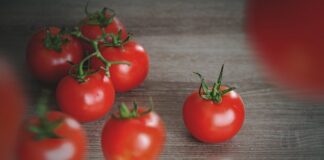 Czy Organique to polska firma?