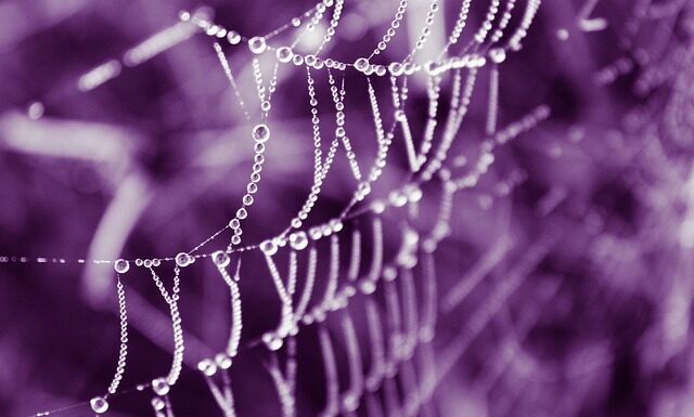 Co warto kupić z Origins?