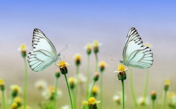 Co będziemy nosić wiosna 2023? Co będziemy nosić wiosna 2023?