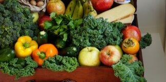 Jakie są wskazania do leczenia żywieniowego?