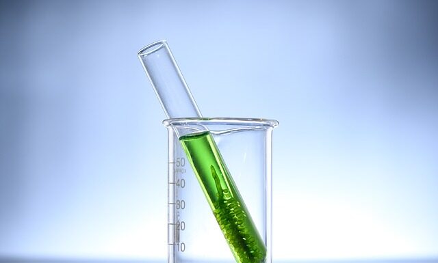 Kiedy jeść Chlorellę? Kiedy jeść Chlorellę?