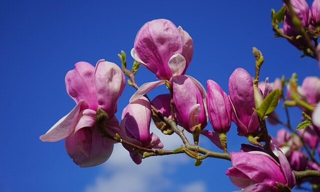 Czemu zawsze opalam się na czerwono?