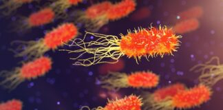 Co się dzieje z organizmem jak się nie je?