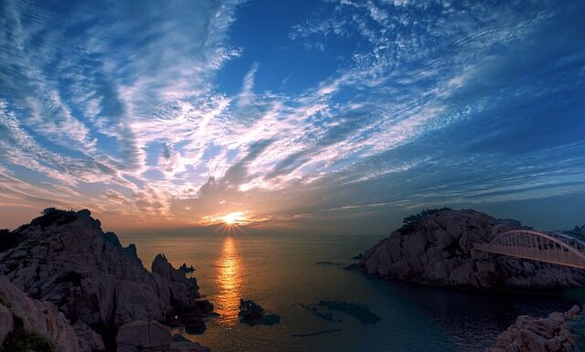 Czy w Korei je się psy?