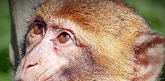 Jak powinna wyglądać 60 latka?