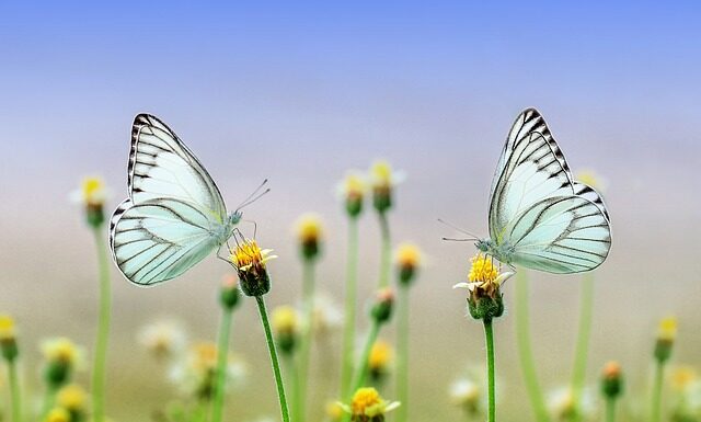 Co będzie modne wiosna-lato 2023? Co będzie modne wiosna-lato 2023?