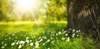 Kiedy można nosić białe spodnie?