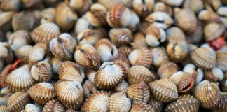 Jakie leki bez recepty na łuszczycę?