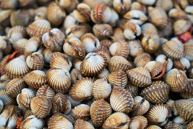 Jakie leki bez recepty na łuszczycę? Jakie leki bez recepty na łuszczycę?