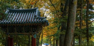 Na czym polega Koreańska pielęgnacja?