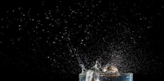 Czy wypada iść na wesele w krótkich spodenkach?