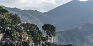 Ile kosztuje 7-dniowy jadłospis?