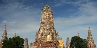 Czy w Tajlandii są kleszcze?