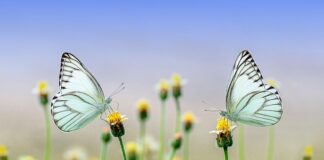 Co nosić na wiosnę 2023?