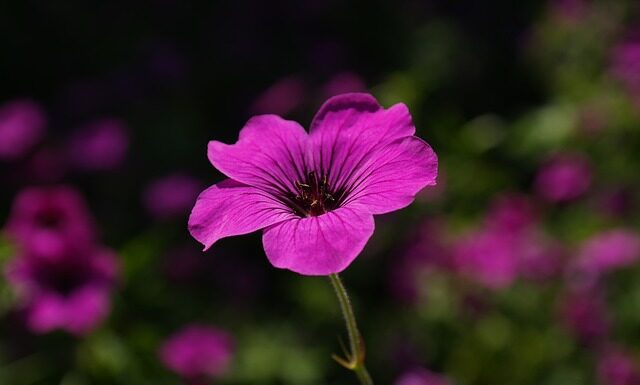 Czy szerokie spodnie są modne? Czy szerokie spodnie są modne?