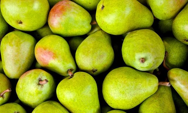 Jak wygląda figurą gruszki? Jak wygląda figurą gruszki?