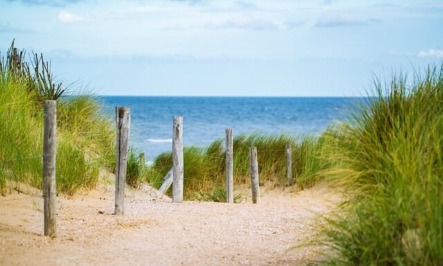 Jaki zabieg na cienkie włosy? Jaki zabieg na cienkie włosy?