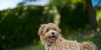 Jakie długie spodnie na upały?