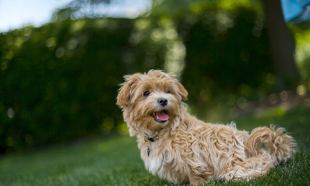 Jakie długie spodnie na upały?