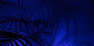 Z czym nosić skórzane legginsy?