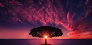 Czy słońce opala pod parasolem?