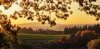 Do której godziny można się opalać?